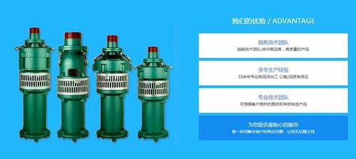 噴泉專用泵的多樣選擇 探尋沈陽噴泉泵與山東莘泉灌排設備的獨特優勢