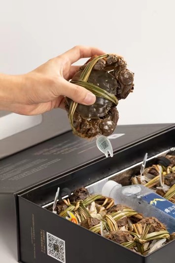 電商主播爭鋒背后的“蟹太太”成果轉讓現象探究