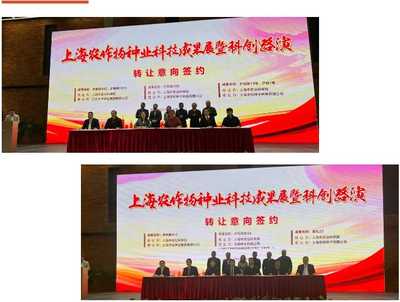 上海種業科技成果路演交易簽約 為種業高質量發展注入新動能