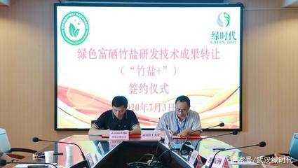 武漢綠時代 綠色科技創新的成果轉讓之路